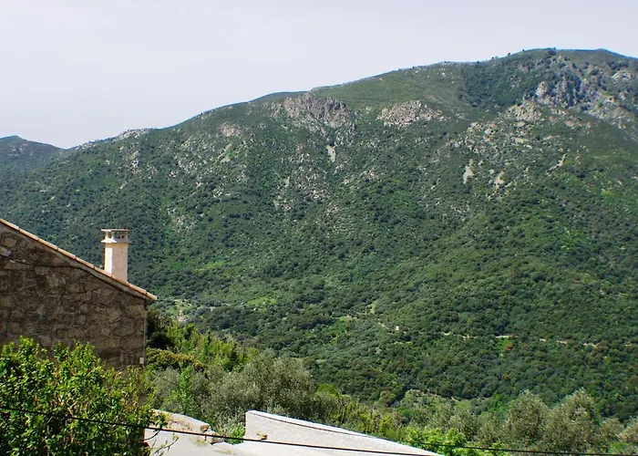 Maison de vacances Le Petit Nid d\'Amour Poggio