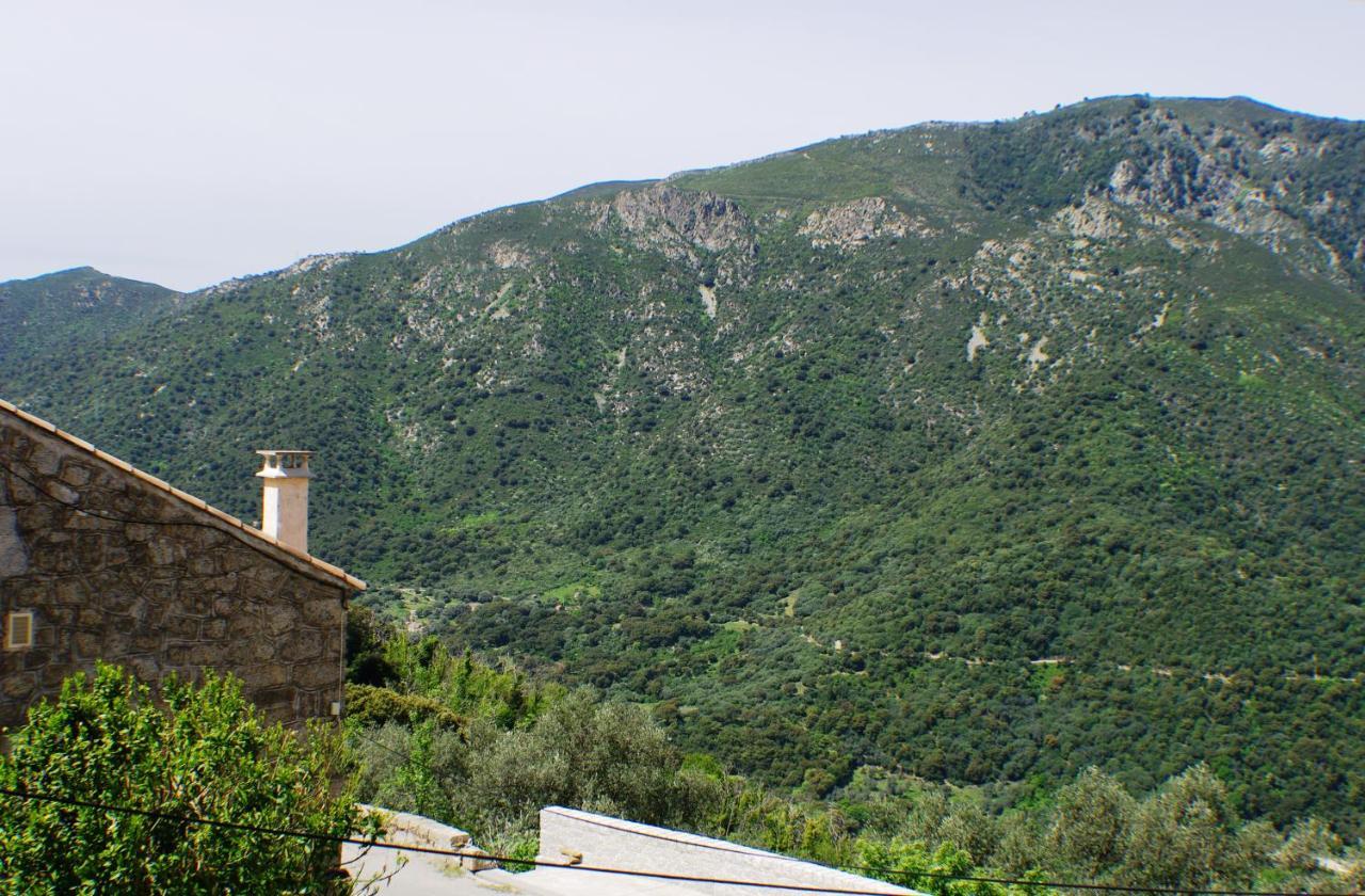 Maison De Le Petit Nid D'amour Poggio Appartement