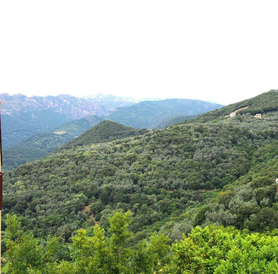 Le Petit Nid D'amour Meuble Tourisme 3 Etoiles Poggio Apartment *