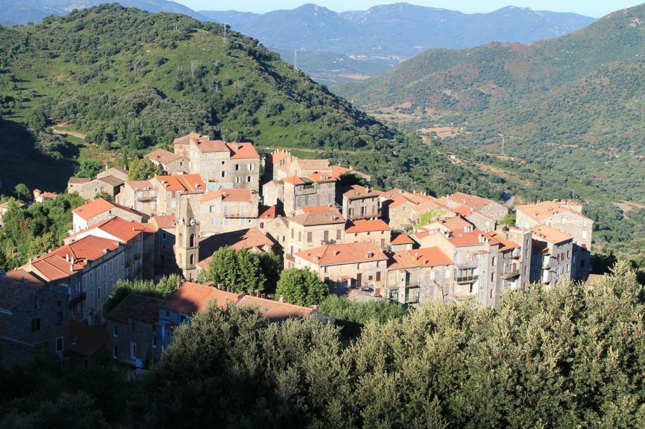 Maison De Le Petit Nid D'amour Poggio Appartement Santa-Lucia-di-Tallano