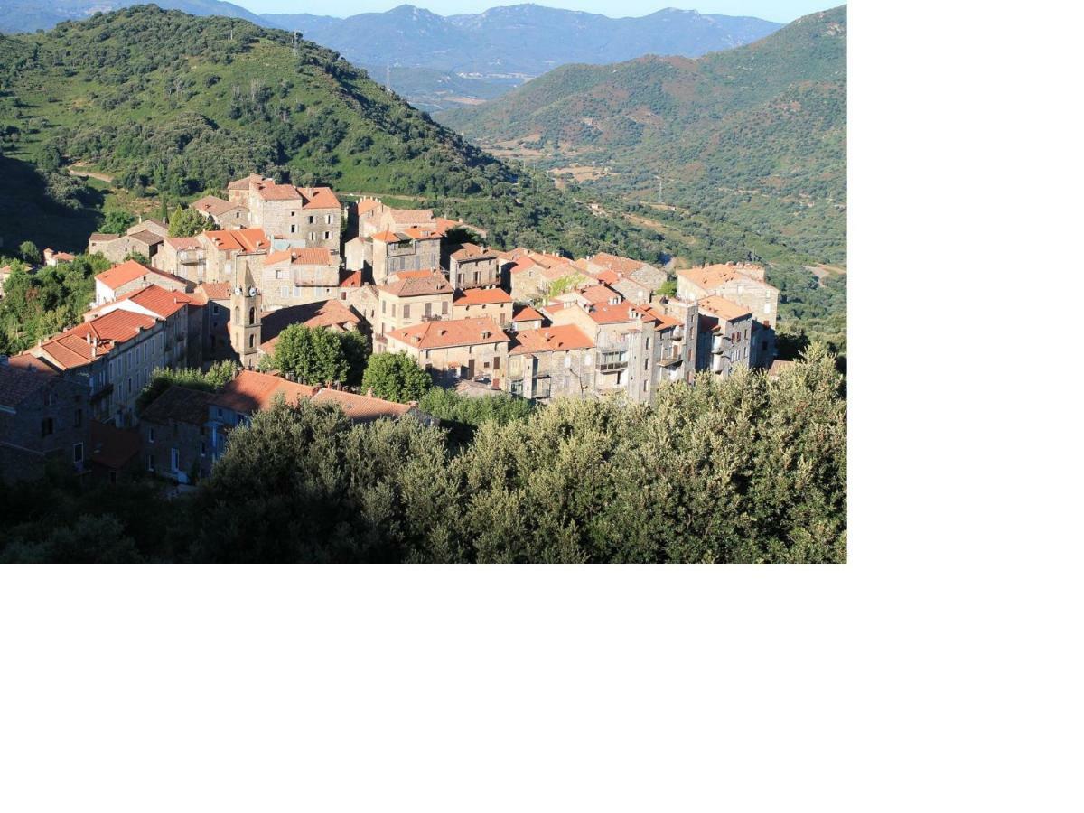 Appartement Maison De Le Petit Nid D'amour Poggio *
